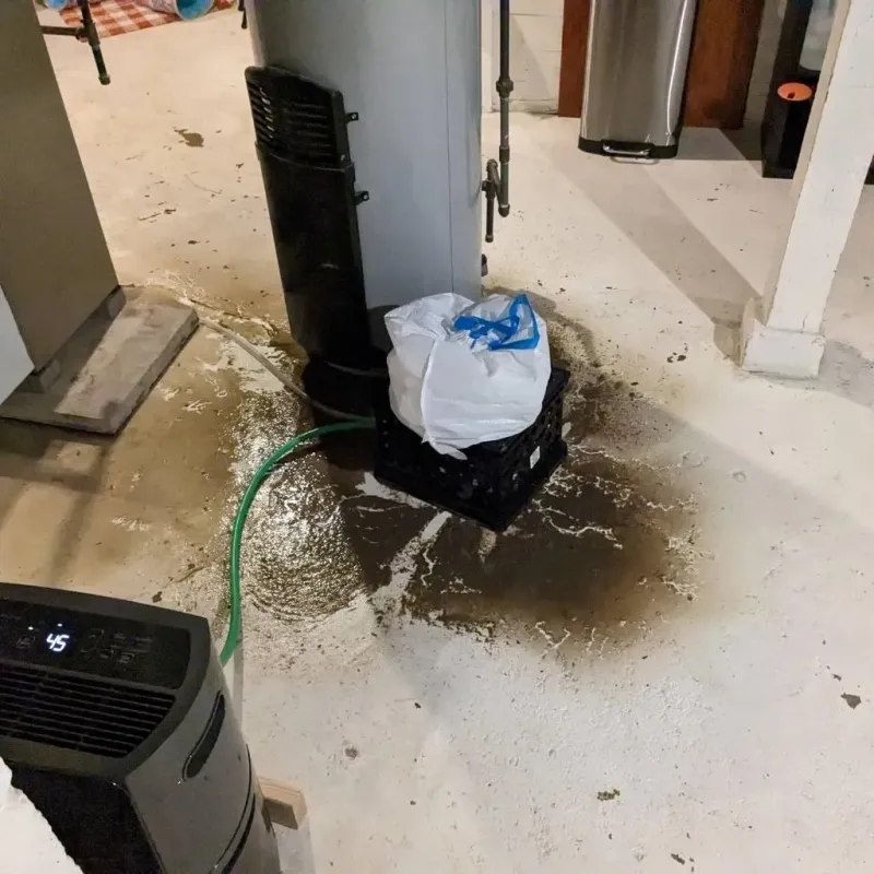 Sewage Backup Cleanup Service in Moapa Valley, NV